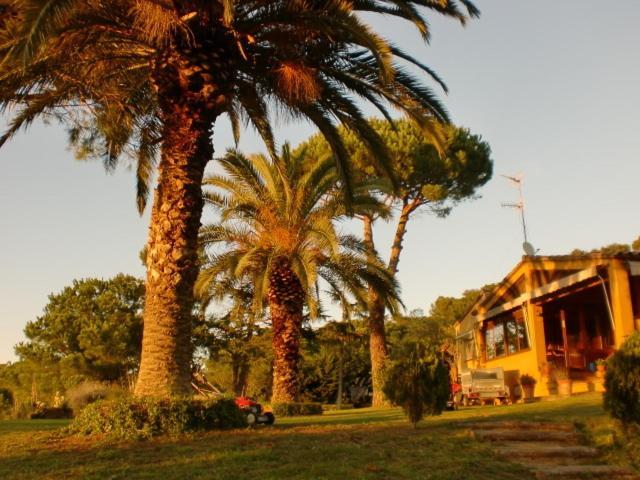 Puig Gros Ξενοδοχείο Montrás Εξωτερικό φωτογραφία
